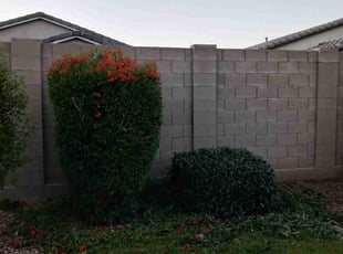 Bush Trimming by Jon'vai Mckinley jr for JIE4003 Z. in Phoenix, AZ