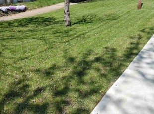 Leaf Removal by Jeffery Richardson for David W. in Cincinnati, OH