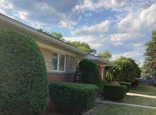 Bush Trimming by Dandre Hall for Carmen E. in Warren, MI