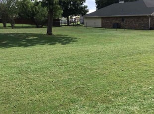 Bush Trimming by Anne Shepard for Vicky H. in Haslet, TX