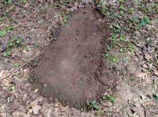Landscaping by Noah Day for Sarah L. in Chattanooga, TN