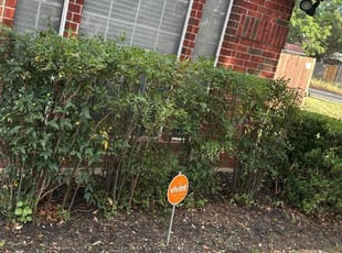 Bush Trimming by Franklin Garcia for Brian N. in Austin, TX