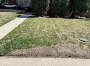 Leaf Removal by Aaron Fresquez for Teri O. in Denver, CO