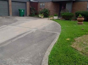 Bush Trimming by Rene Contreras for Elizabeth S. in Houston, TX