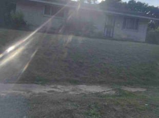 Bush Trimming by Donerica Horton for Rashida M. in Memphis, TN