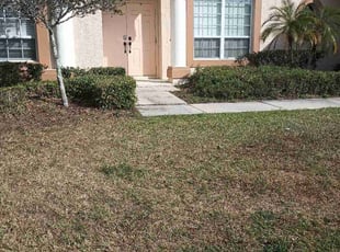 Bush Trimming by Isabel Charrez for Zachary M. in Trinity, FL