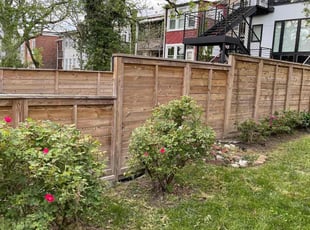 Cleanups by Kamonta Hackey for Patricia P. in Washington, DC