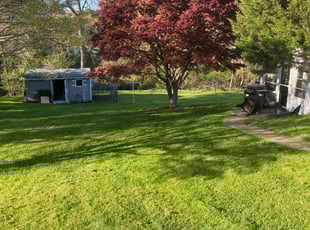 Aaron D.'s Grass Cutting service result