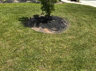 Weeding by Edwin Fernandez for Mary M. in Katy, TX