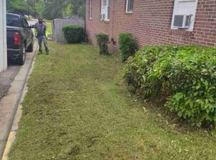 Bush Trimming by Mark Goolsby for Arthur V. in Macon, GA