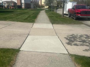 Denise T.'s Lawn Mowing service result