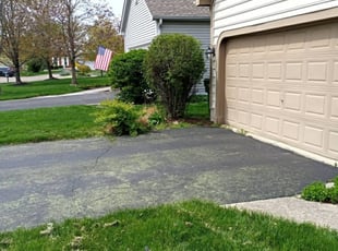 Bush Trimming by Mike Williams for Lisa K. in Westerville, OH
