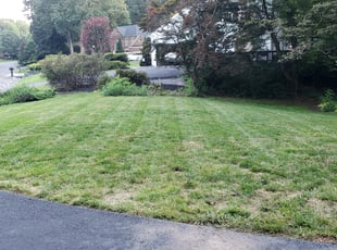 Landscaping by Brandon Escobar for Donya D. in Woodbridge, VA