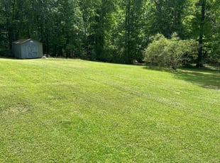 Maria L.'s Lawn Service service result
