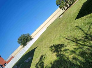 Shalon P.'s Grass Cutting service result