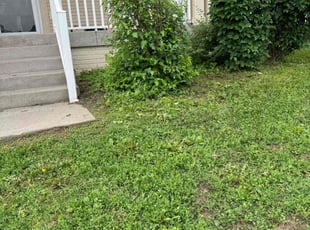 Bush Trimming by William Sidzyik for Brea W. in Omaha, NE