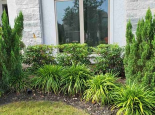 Weeding by Briana Rivera for Heath C. in Richmond, TX