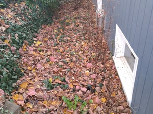 Cleanups by Dana Knickerbocker for Nell S. in Seattle, WA