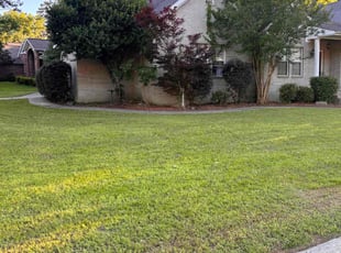 Bush Trimming by Larry Thompson for Pernell F. in Maumelle, AR