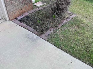 Weeding by Chris Trauner for Noah L. in Madison, AL