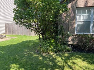 Bush Trimming by Justin Tanner for Rachel H. in Hamilton, OH