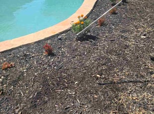 Cleanups by Toni Singsonexay for Roger G. in San Antonio, TX