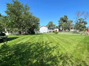 Joseph S.'s Lawn Maintenance service result