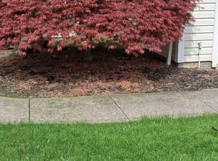 Weeding by Peter Conley for Frank B. in Streetsboro, OH