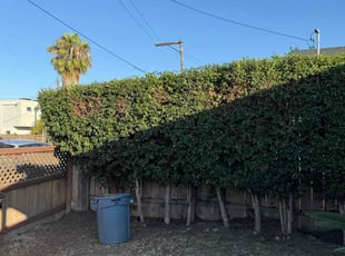 Cleanups by Angel Mata for Christopher J. in San Diego, CA