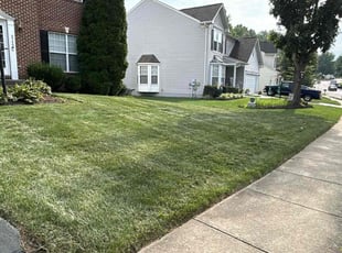 Reyes R.'s Lawn Service service result