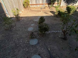 Weeding by Uriel Aldrete for Tom R. in Citrus Heights, CA