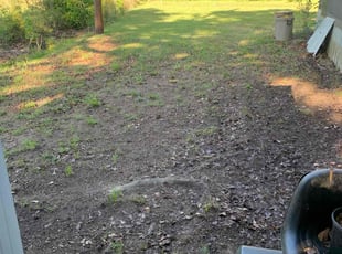 Leaf Removal by Hunter Foster for Terrie W. in Williamston, SC