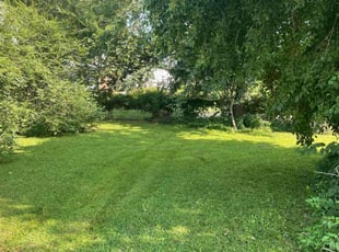 Kishan P.'s Lawn Care service result