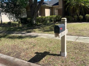 Leaf Removal by Alphonso Sharp for Andrew P. in Lutz, FL