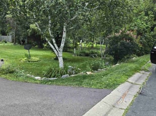 Glenn H.'s Yard Cutting service result