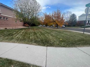 Weeding by Jesse Nunez for Jeff C. in Aurora, CO