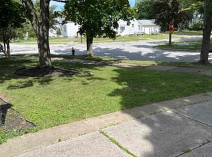 Leaf Removal by Demetrius Bennett Jr for Sabriya G. in South Euclid, OH