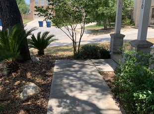 Bush Trimming by Aldo Mancha for Mindy C. in San Antonio, TX