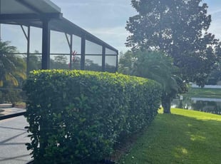 Bush Trimming by Martin Byington for Grace K. in Oviedo, FL