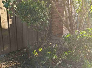 Bush Trimming by Juan Sanchez-Valdez for Brian C. in Flower Mound, TX