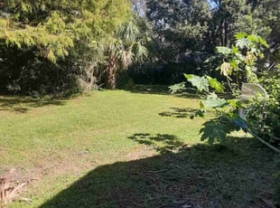 Cleanups by Michael Hughes for Ms. S. in Orlando, FL