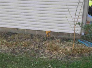 Cleanups by Erik Bullens for Danielle L. in Indianapolis, IN