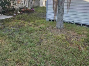 Leaf Removal by Jeffrey Marcotte for Chris R. in Pinellas Park, FL