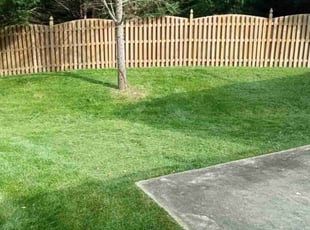 Kevin Q.'s Lawn Mowing service result