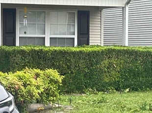 Bush Trimming by D Sheadrick for Selina G. in Murfreesboro, TN