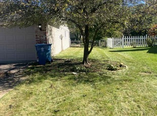 Doug B.'s Lawn Mowing service result
