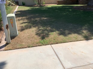 Leaf Removal by Maximiliano Hernandez for Douglas J. in Chandler, AZ