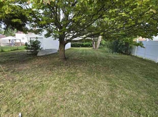 Laura B.'s Lawn Care service result