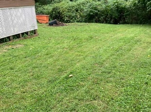 Leaf Removal by Chris Deshon for Charles W. in Alton, IL