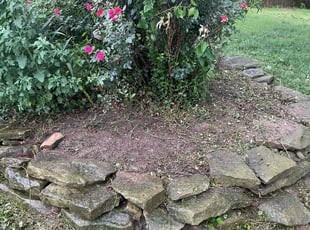 Weeding by Grant Seura for Jenny S. in Independence, MO